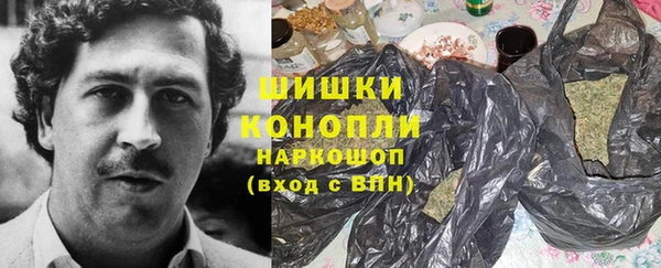 PSILOCYBIN Сим