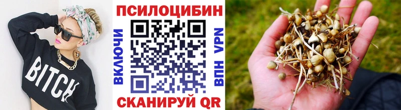 Галлюциногенные грибы MAGIC MUSHROOMS  Нестеровская 